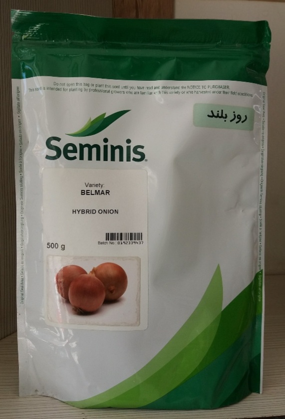بذر پیاز روز بلند رقم بلمار سیمینیس نیم کیلویی