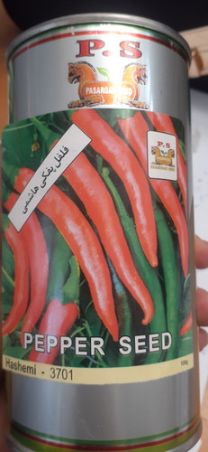 بذر فلفل پفکی
