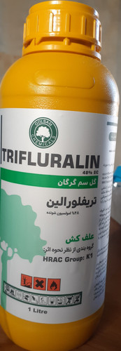 تریفلور الین ۴۸٪EC ( ترفلان ) یک لیتری گل سم