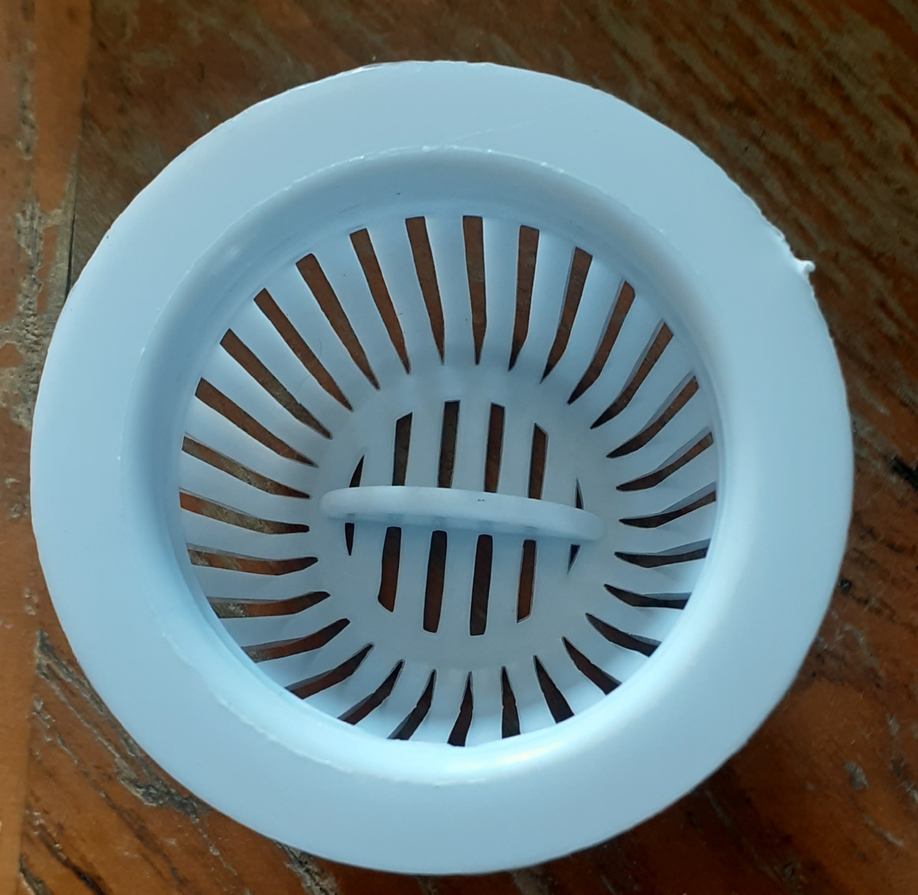 سوسک گیر کف شوی