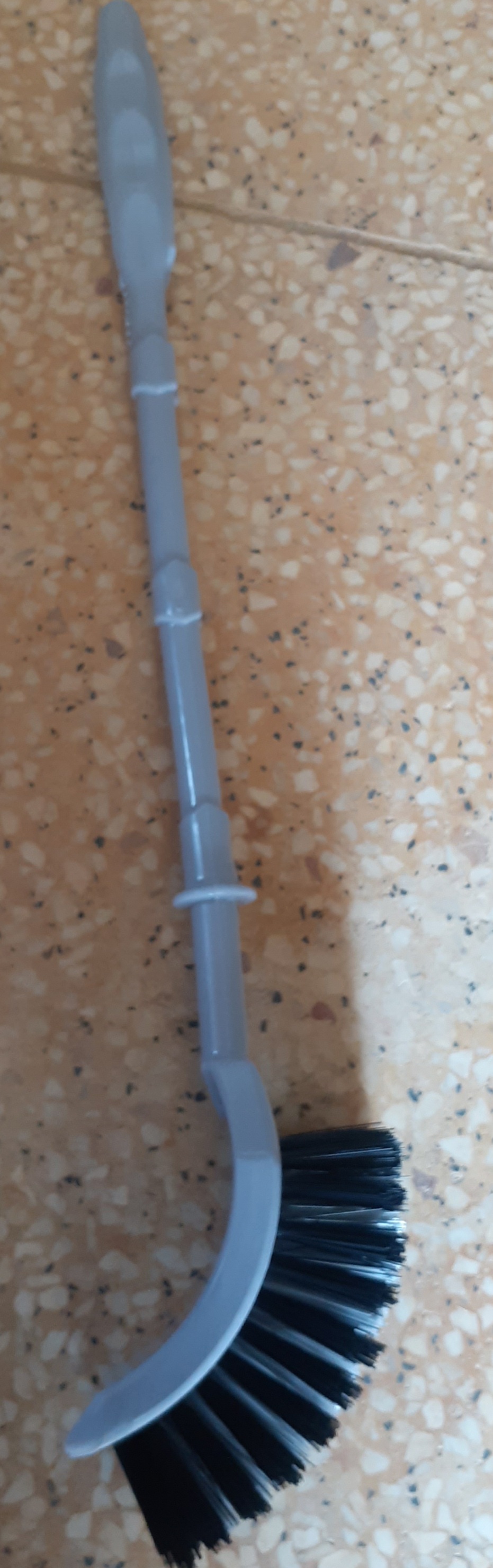 فرچه تکی ارغوان