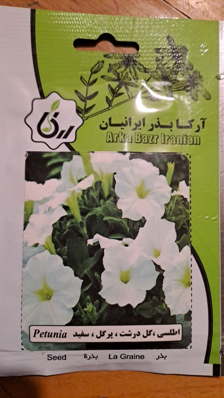 بذر اطلسی ،پرگل ،درشت ،سفید
