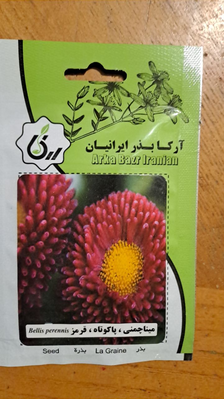 بذر میناچمنی، کوتاه ،قرمز