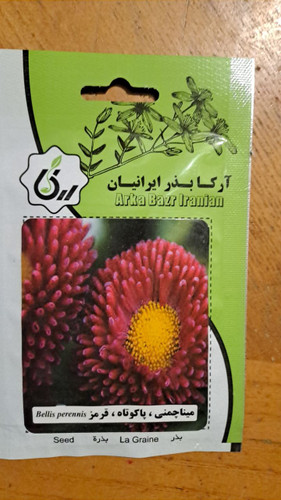 بذر میناچمنی، کوتاه ،قرمز