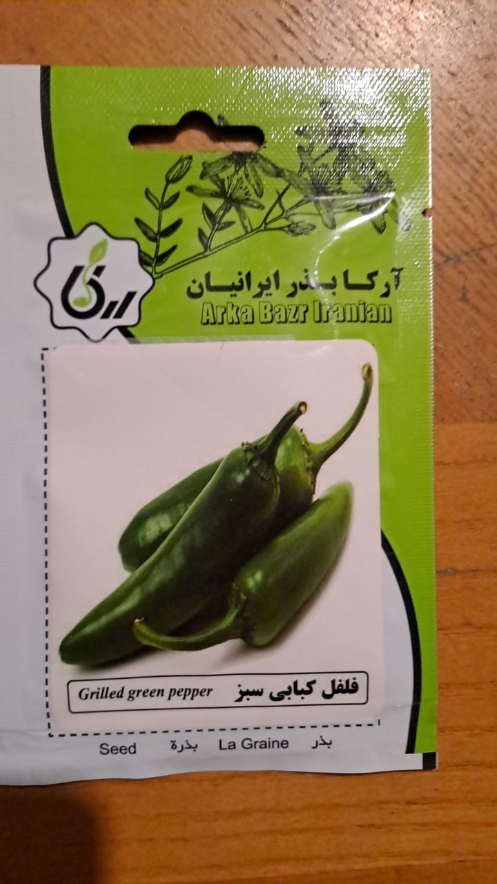بذر فلفل کبابی سبز