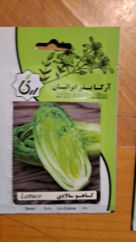 بذر کاهو سالادی
