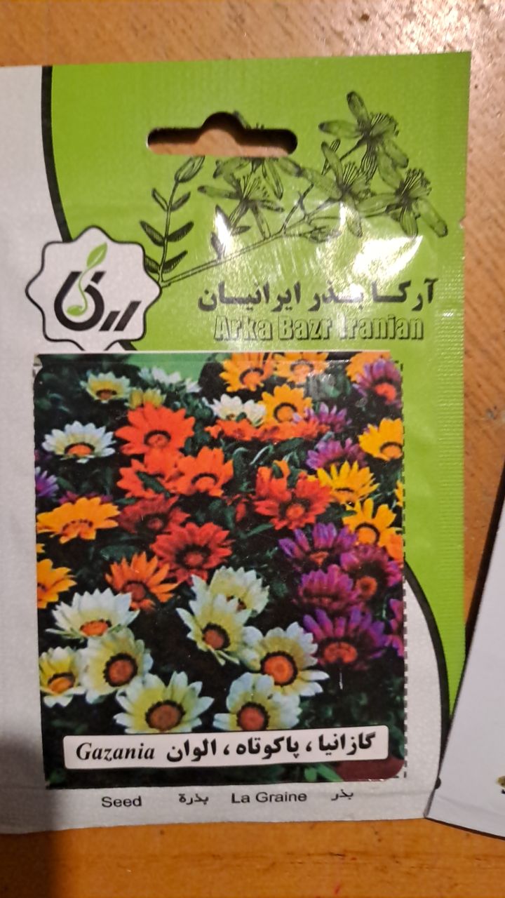 بذر گازانیا ،پاکوتاه، الوان