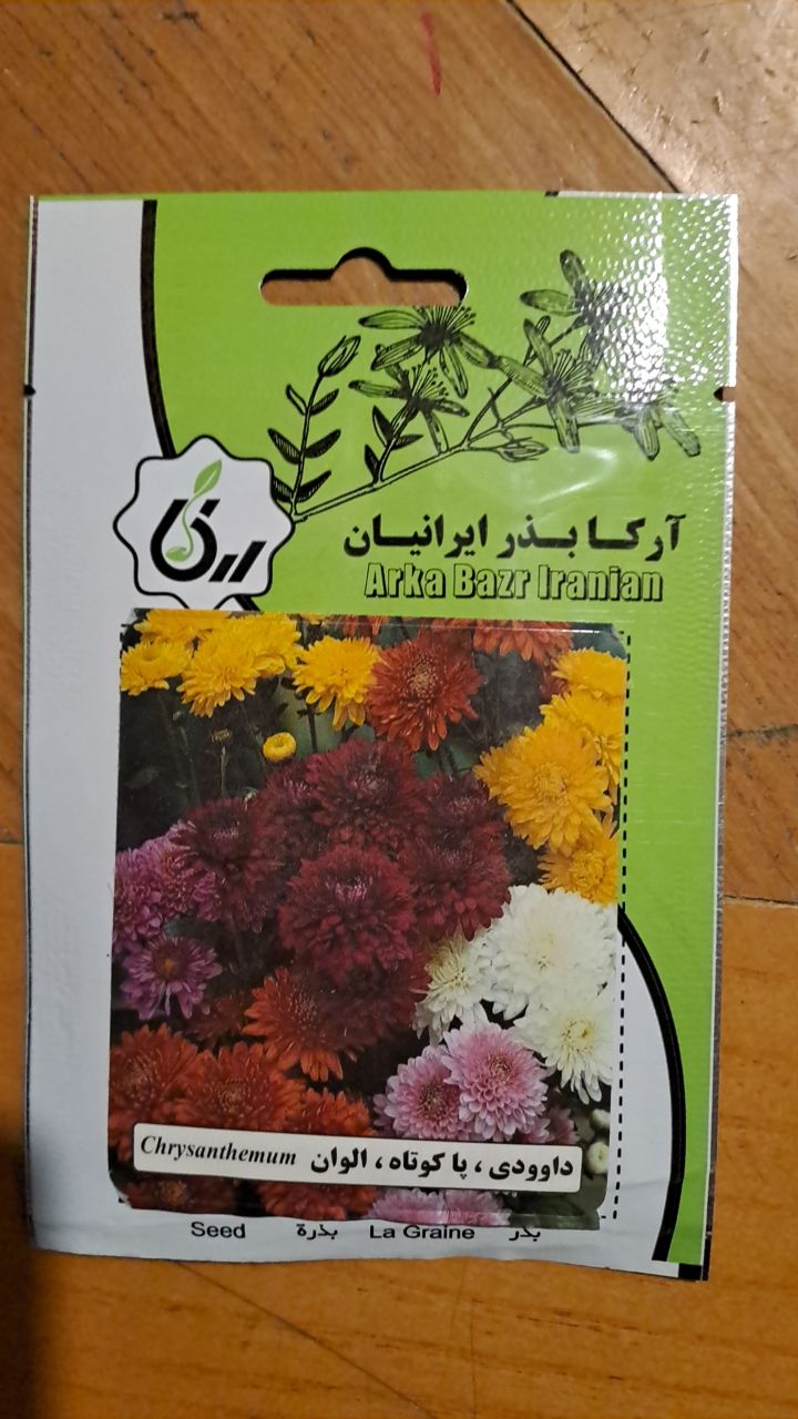 بذر داوودی ،پاکوتاه ، الوان