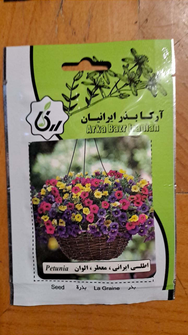 بذر اطلسی معطر ، ایرانی ، الوان