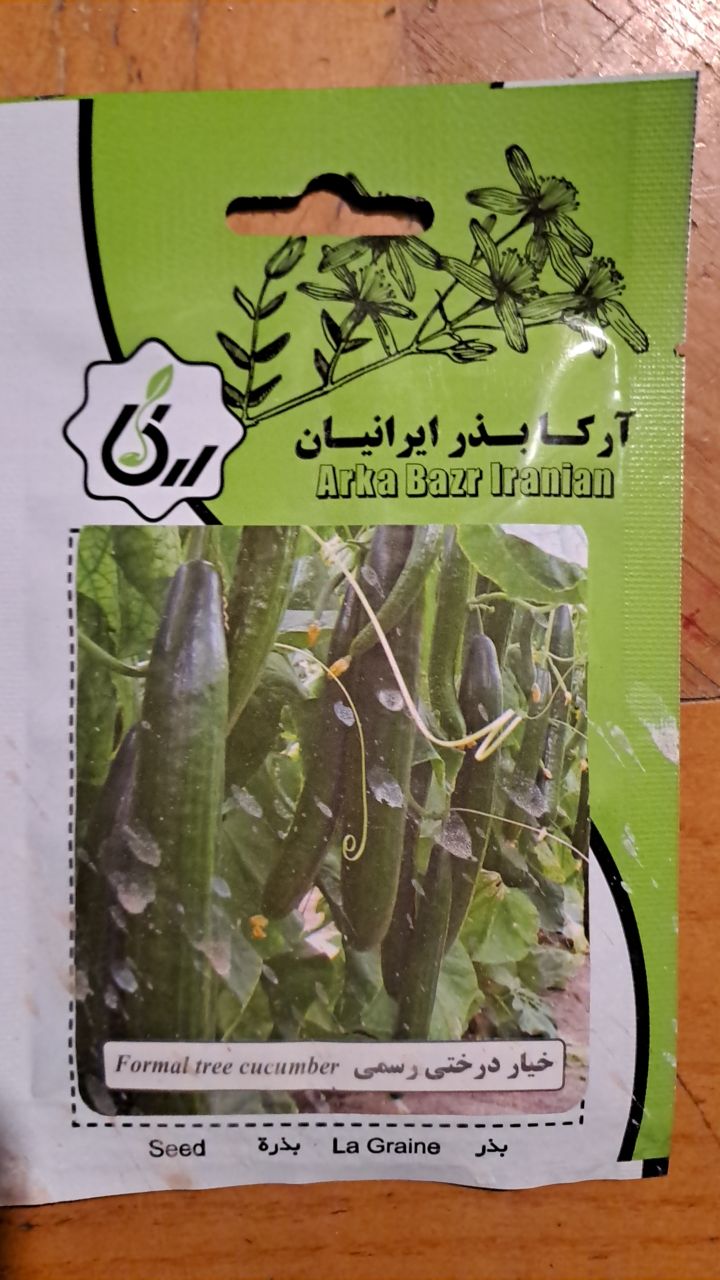 بذر خیار درختی رسمی