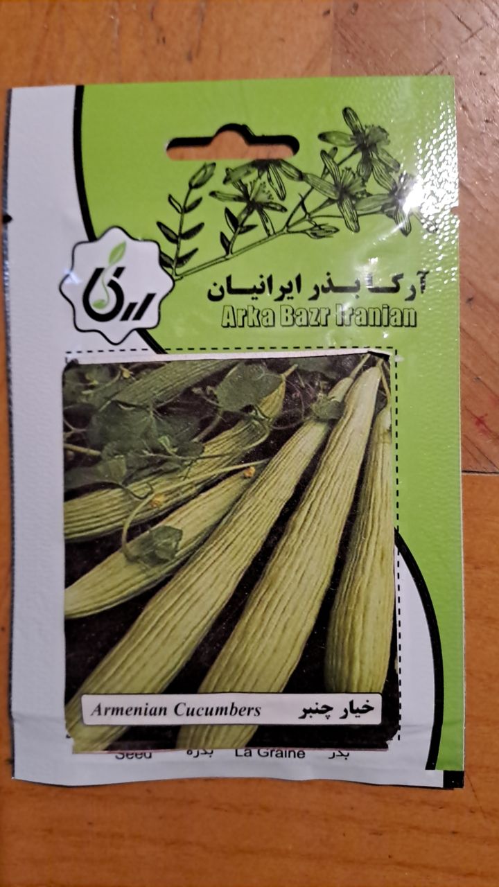 بذر خیار چنبر