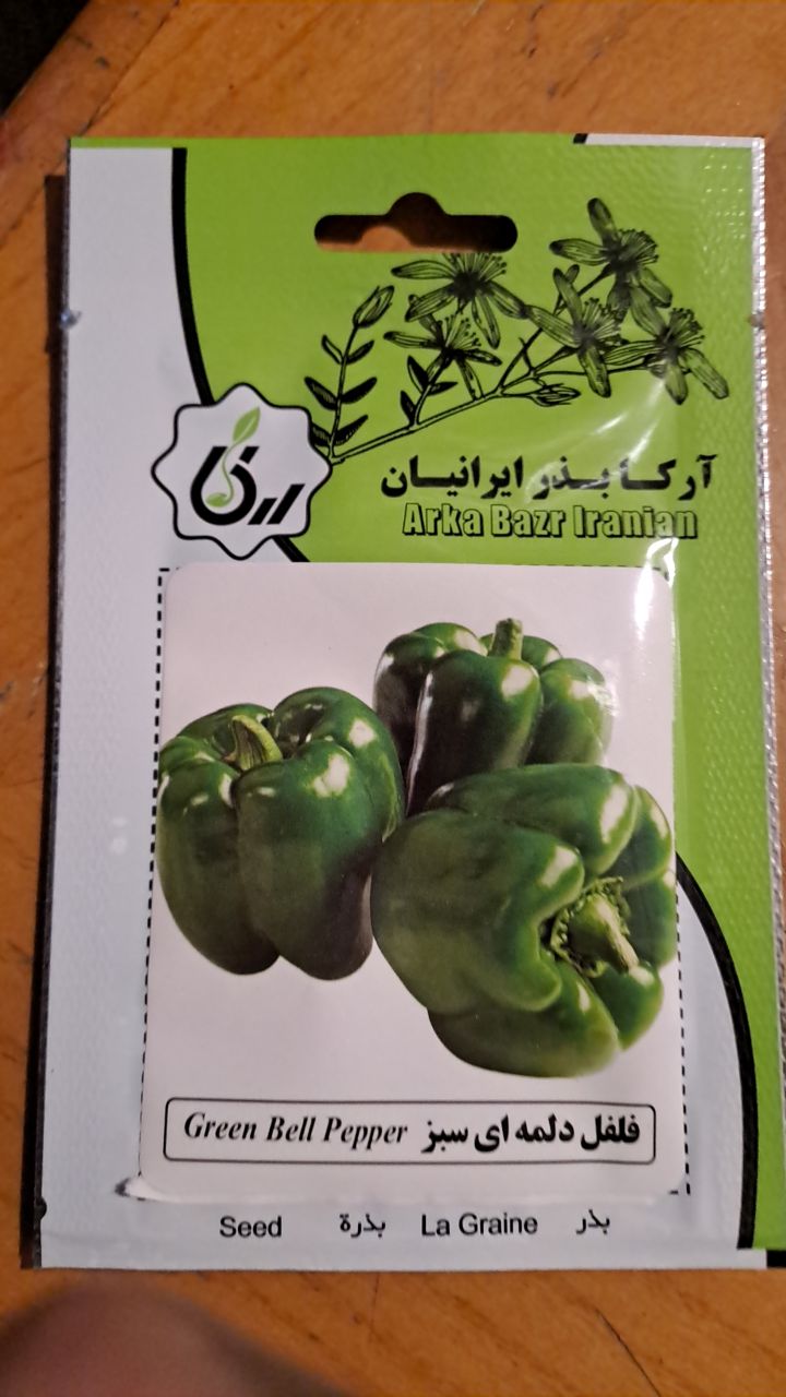بذر فلفل دلمه ای سبز