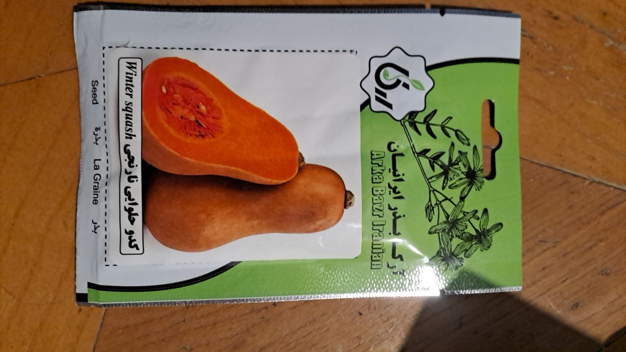 بذر کدو حلوایی نارنجی