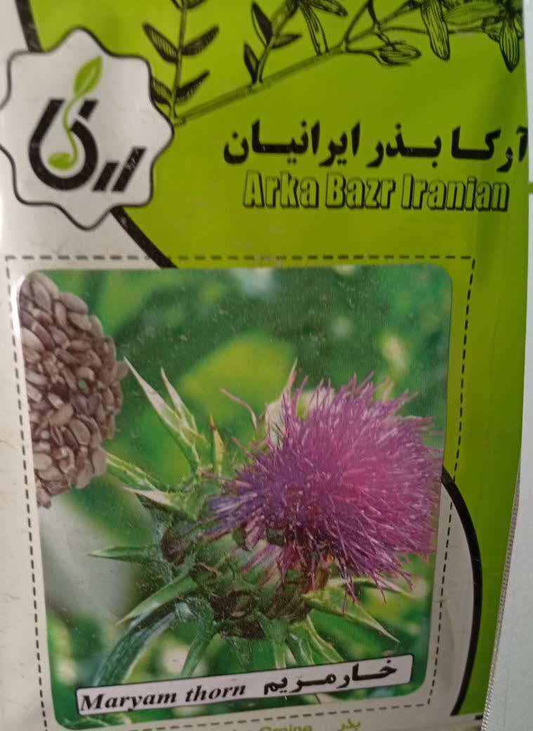 بذر خار مریم
