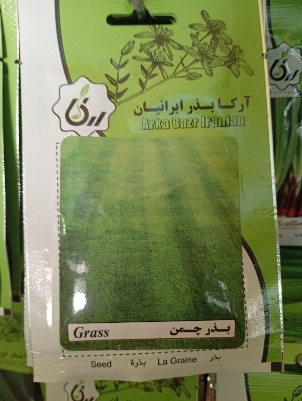 بذر چمن