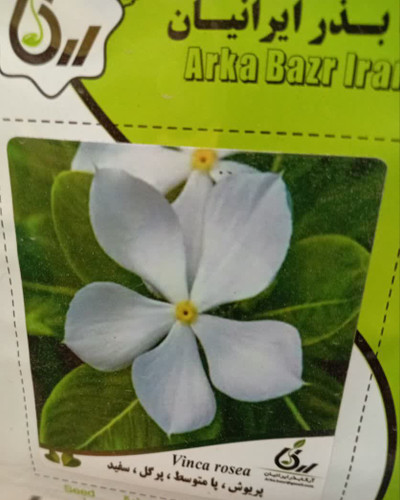 بذر پریوش ،پابلند ، پرگل