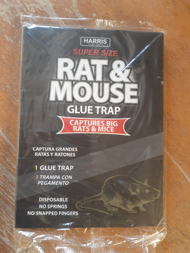 موش کتابی حریص 120 گرم