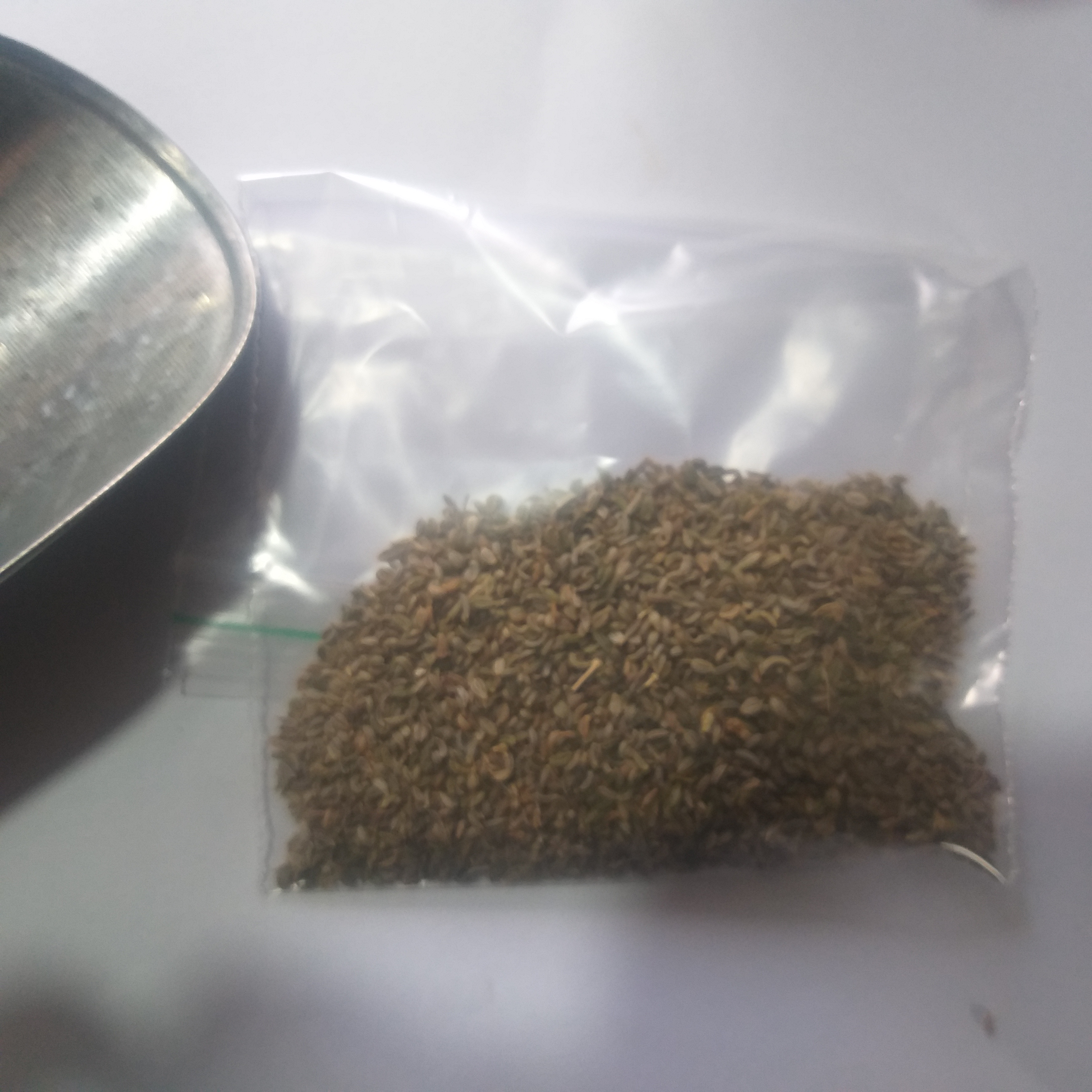 بذر جعفری زراعی  (فروش گرمی)