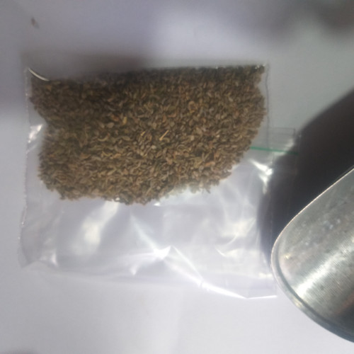 بذر جعفری زراعی (فروش گرمی)