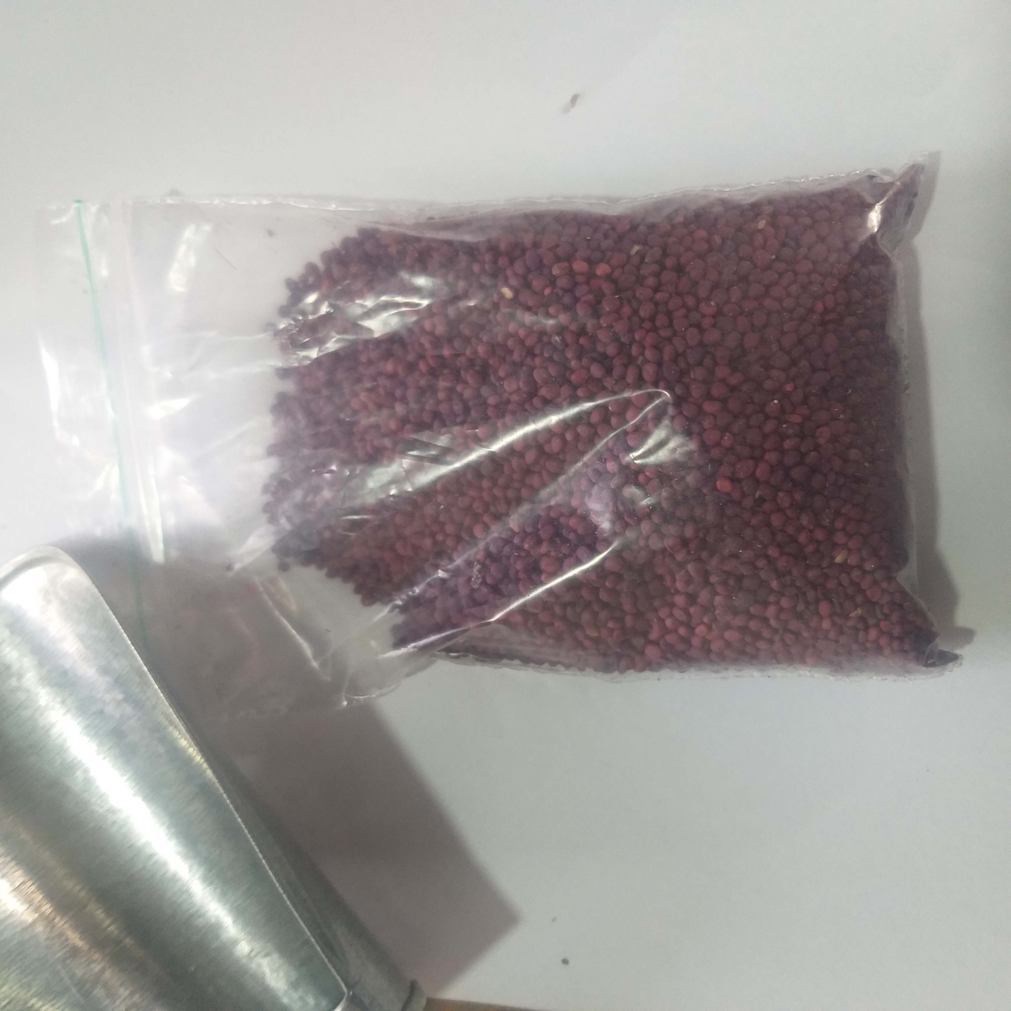بذر تربچه نقلی ( فروش گرمی)