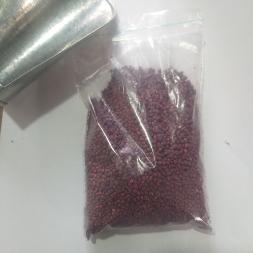 بذر تربچه نقلی ( فروش گرمی)