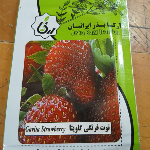بذر توت فرنگی گاویتا
