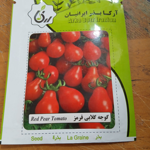 بذر گوجه گلابی قرمز