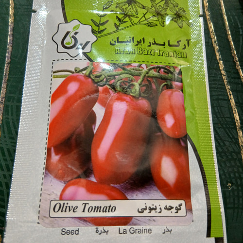 بذر گوجه زیتونی