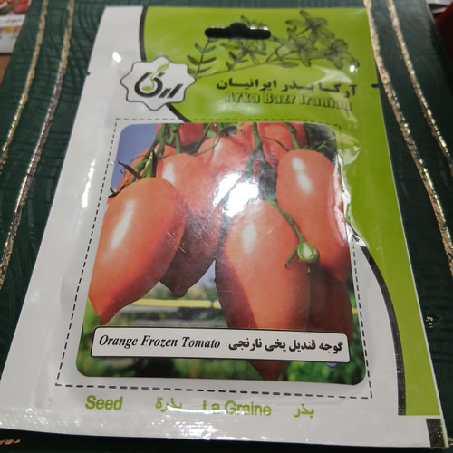 بذر گوجه قندیل یخی نارنجی