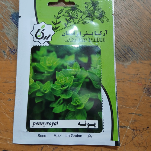 بذر پونه(بسته ای )