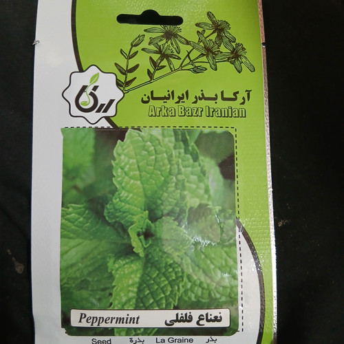 بذر نعناع فلفلی بسته ای