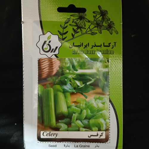بذر کرفس
