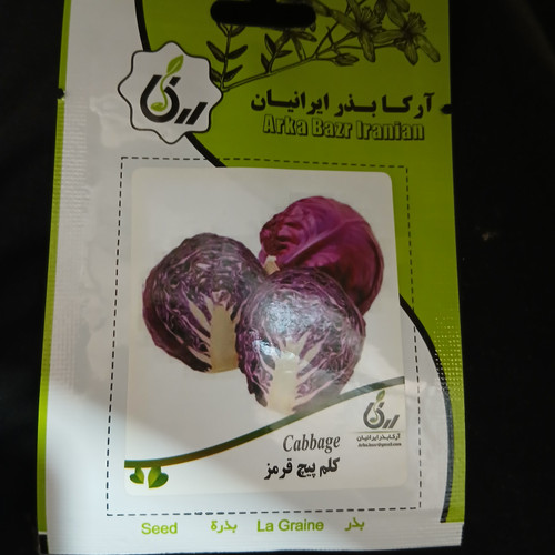 بذر کلم پیچ قرمز