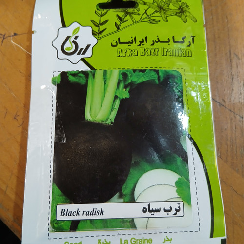 بذر ترب سیاه (بسته ای )