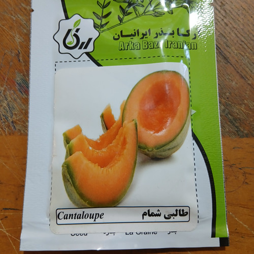 بذر طالبی شمام