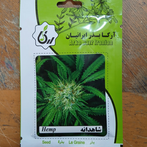 بذر شاهدانه