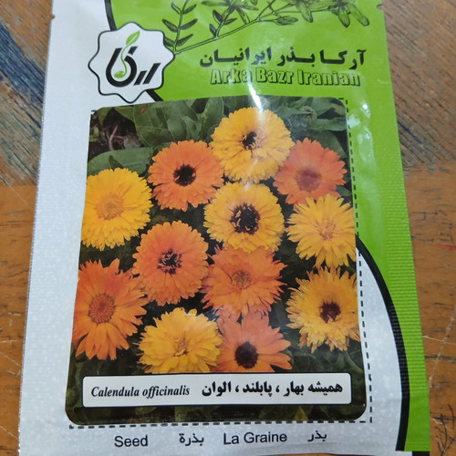 بذر همیشه بهار ،پابلند ، الوان