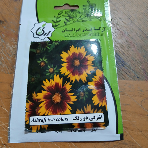 بذر اشرفی دو رنگ
