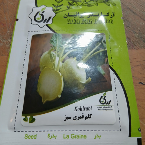 بذر کلم قمری سبز