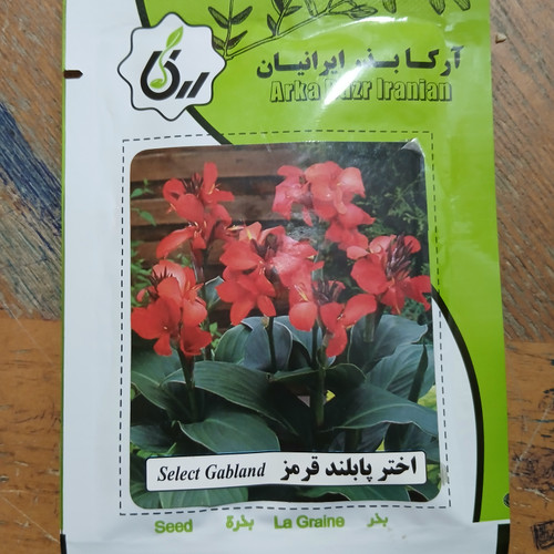 بذر اختر پابلند قرمز