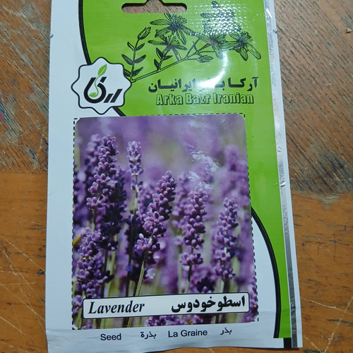 بذر اسطوخودوس