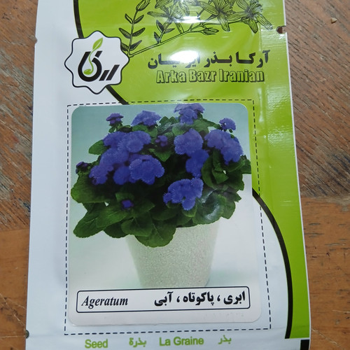 بذر ابری ،پاکوتاه ،آبی