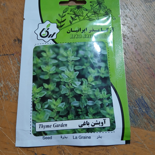 بذر آویشن باغی