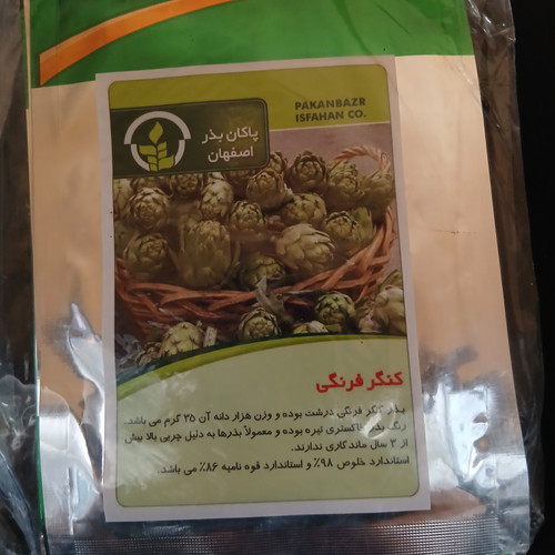 بذر کنگر فرنگی (بسته ای)