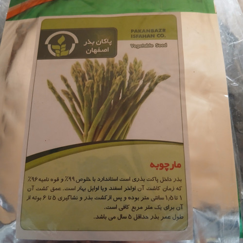 بذر مارچوبه (بسته ای )