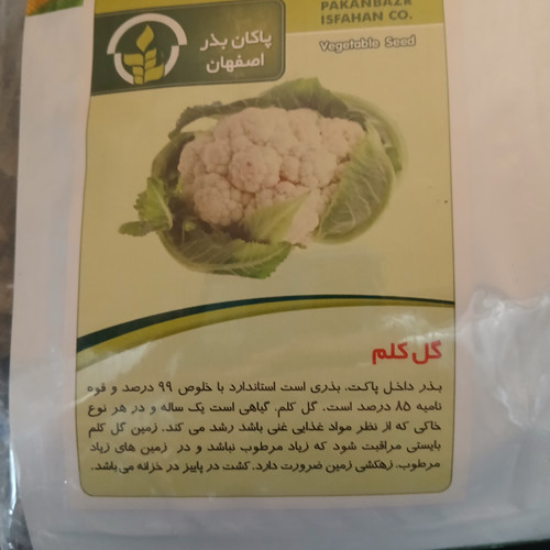 بذر گل کلم (بسته ای )