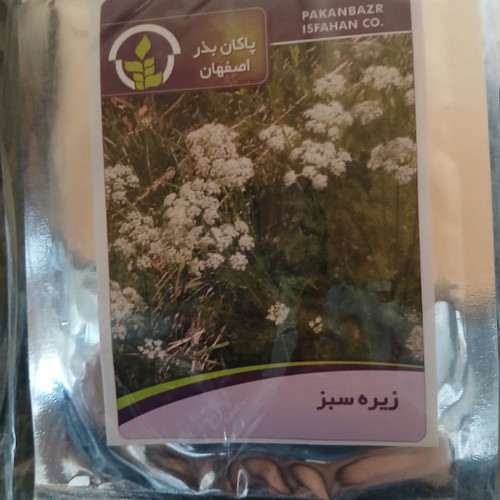 بذر زیره سبز (بسته ای)