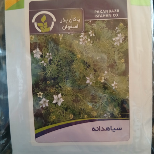 بذر سیاهدانه (بسته ای)