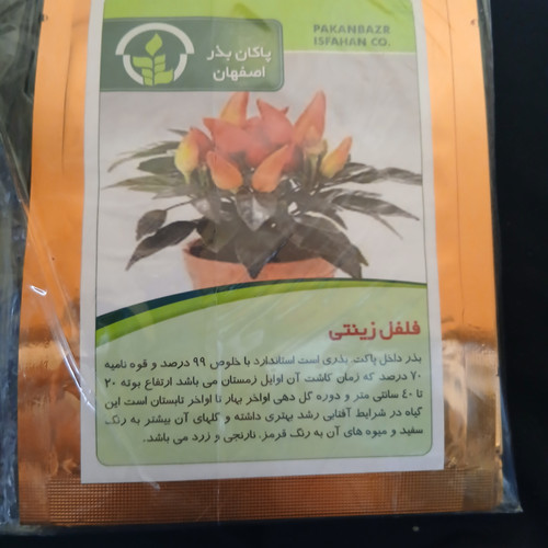 بذر فلفل زینتی (بسته ای)