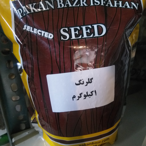 بذر گلرنگ بدون تیغ (گل کوشک) فروش گرمی